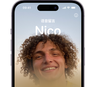 蒲江苹果15服务站分享iPhone15实时语音留言开启方法 