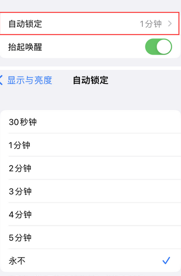 蒲江苹果换屏维修分享无法调整iPhone自动锁屏的时间怎么办