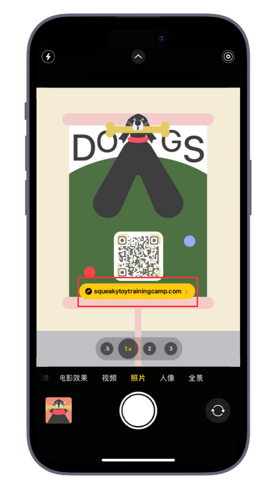 小技巧:iPhone 自带的相机可以直接扫码二维码,还有这些优点
