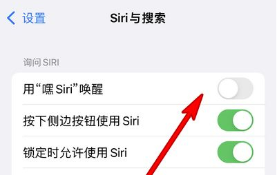 蒲江苹果13维修分享iPhone 13怎么唤醒 Siri  