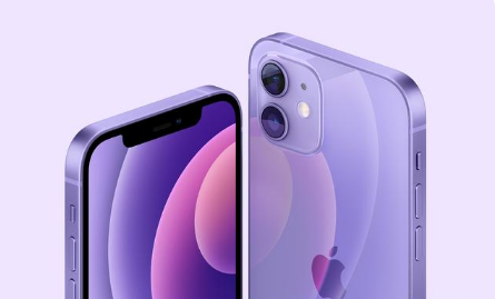 蒲江苹果手机维修分享紫色版iPhone 12有什么技术亮点 